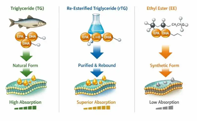 Omega-3 formulations